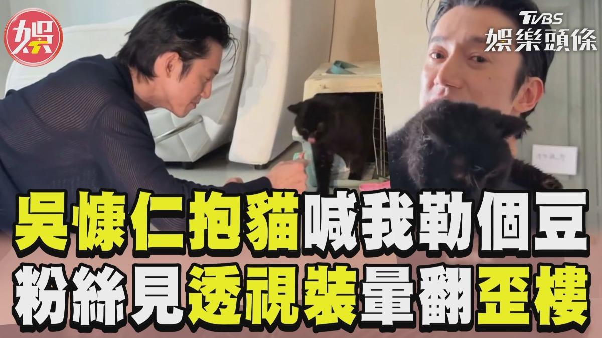 影音/吳慷仁抱黑貓狂喊「我勒個豆」! 粉絲見透視裝暈翻歪樓