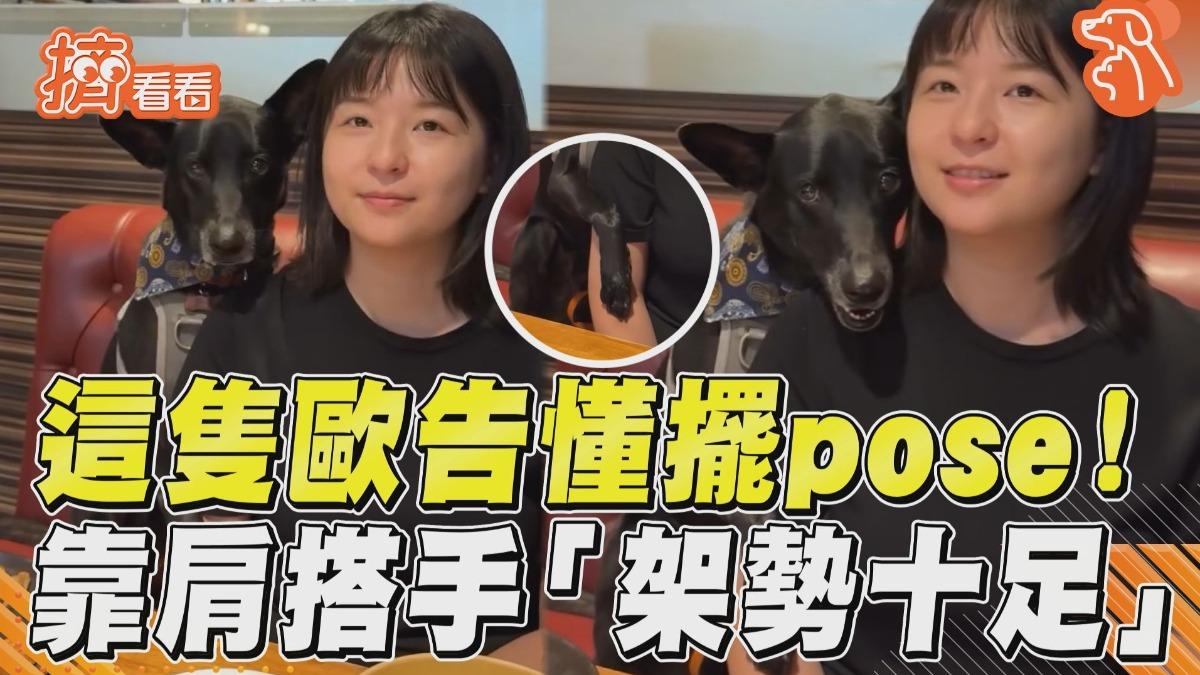 影音/歐告聽「拍照口令」熟練搭手! 被糾正秒靠肩擺「專業pose」