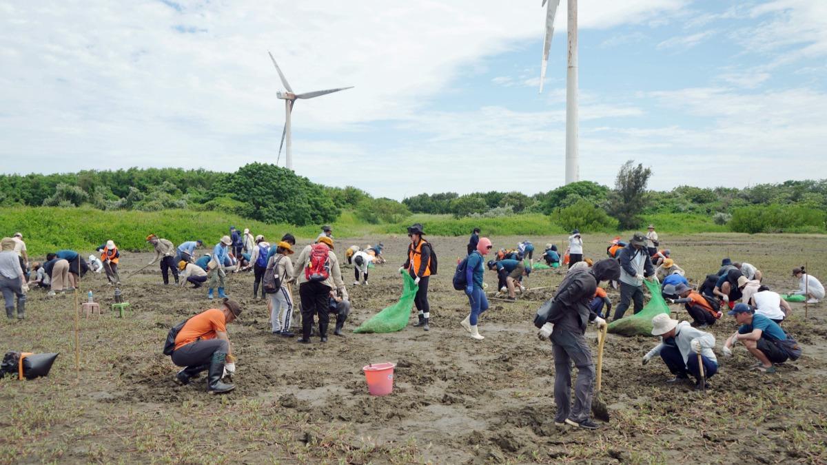 竹市公私協力復育香山濕地 台灣旱招潮蟹再現