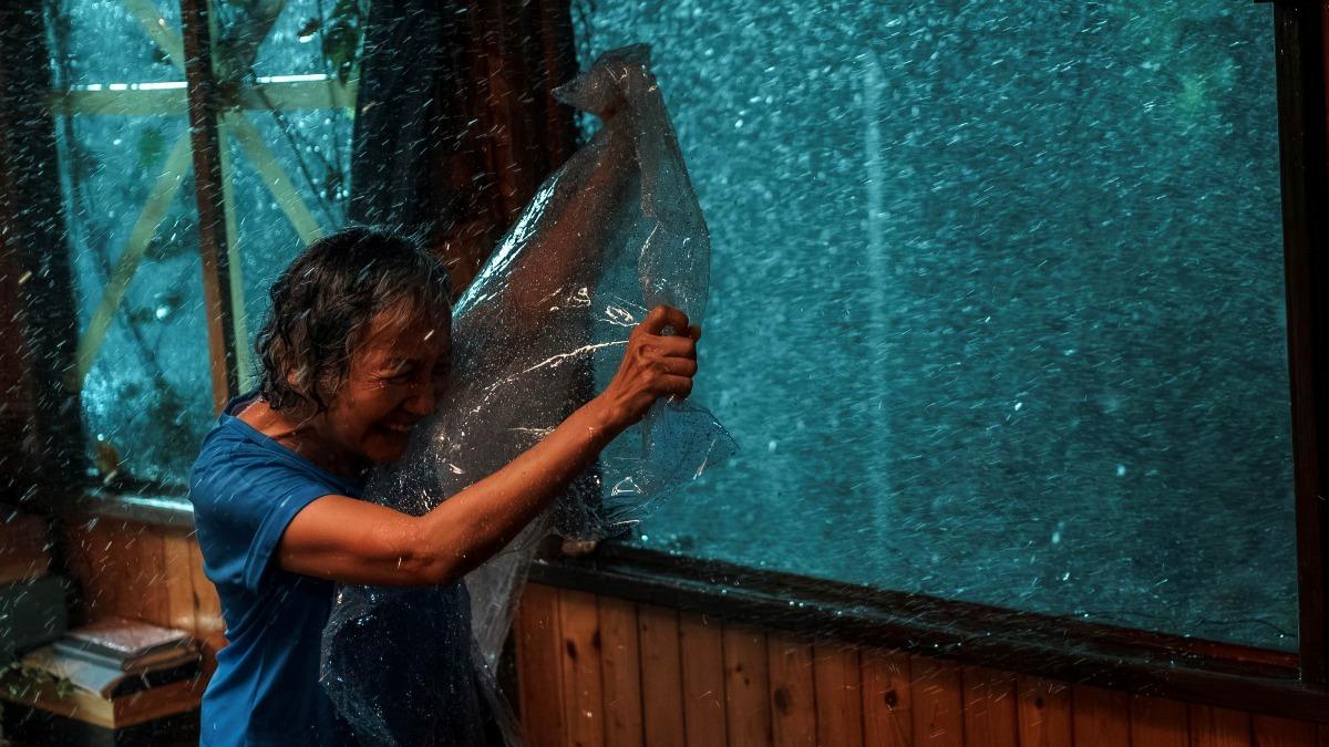 影后單薄身軀迎戰風雨 喚醒「真實驚魂記」:颱風吹到抱電桿