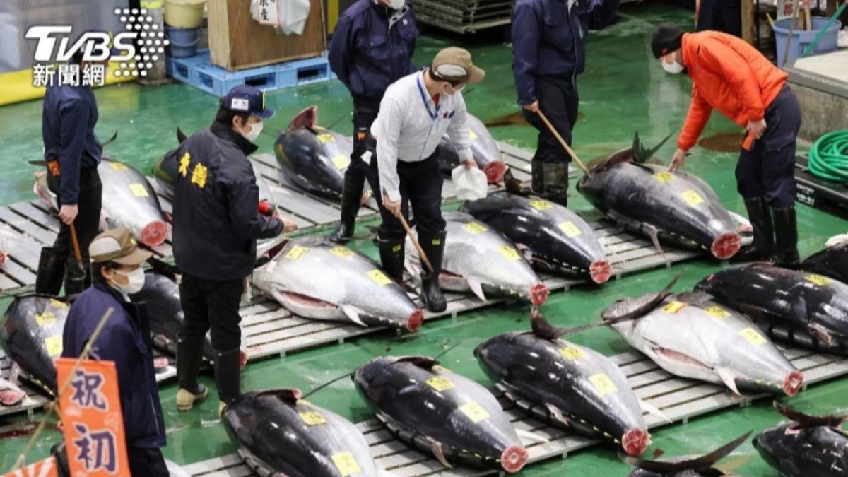 去日本有口福了!海溫升北上日本海產卵 黑鮪魚大豐收