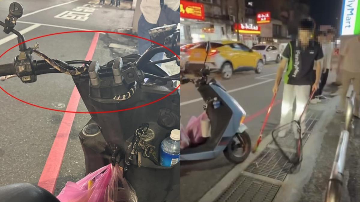 騎到一半鑽出「黑白蛇」!基隆女嚇壞尖叫 超商店員淡定眾人狂讚