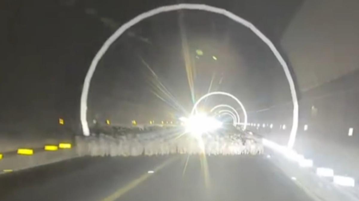 新疆隧道無路燈釀禍!女駕駛撞死29羊 法院:羊有優先路權