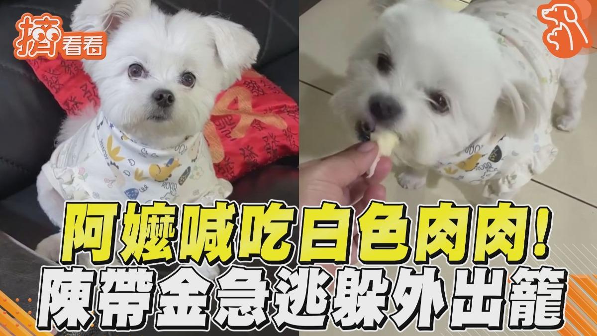 影音/阿嬤出招誘惑喊「吃白色肉肉」 汪孫陳帶金急逃跑滿臉拒