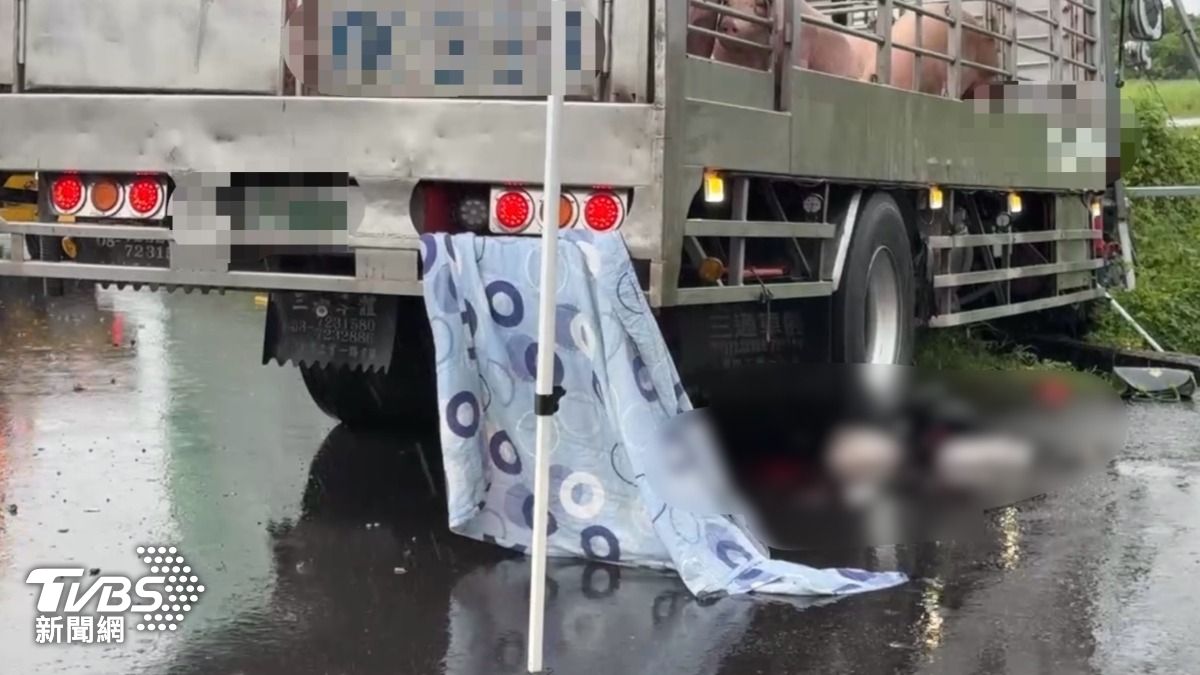 快訊/台南載豬大貨車雨中失控連環撞 騎士遭輾「腦漿外溢」亡