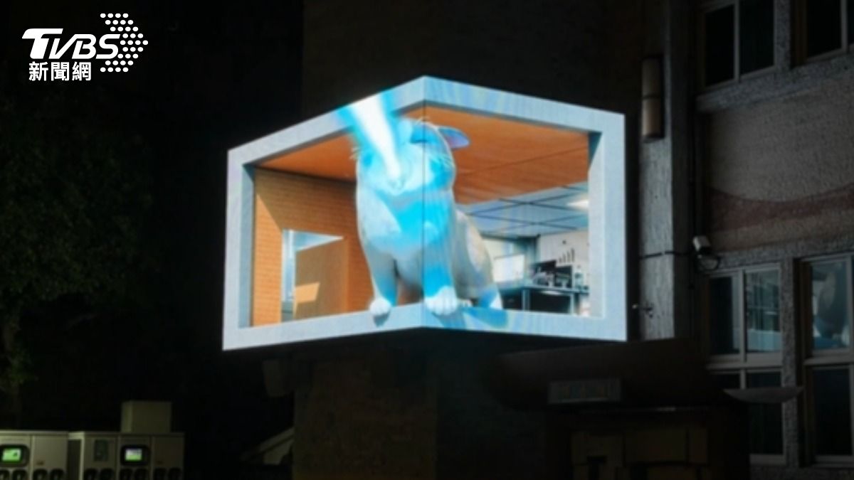 巨型布偶貓「噴雷射甩烏龜」!花蓮市砸300萬打造3D電視牆吸睛
