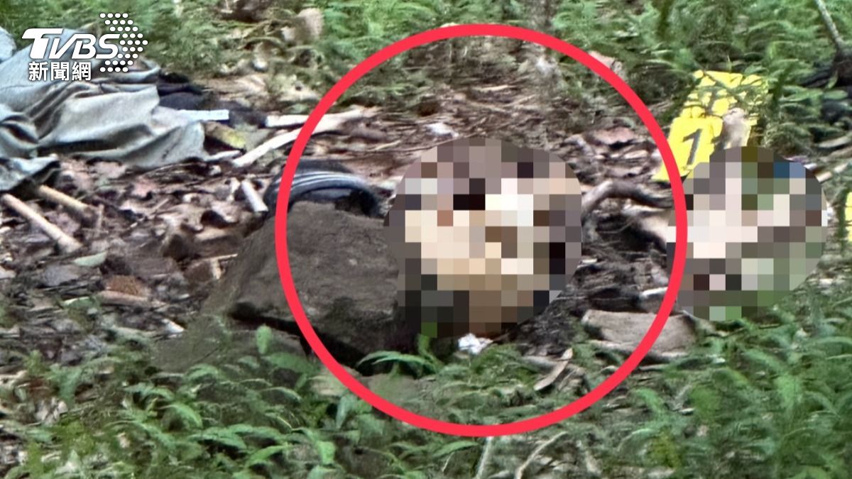 快訊/六龜內英山步道驚見「白骨頭顱」 林間遺骸散落一地