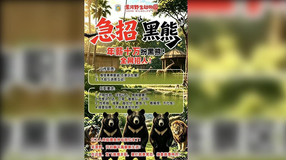 大陸動物園徵「假黑熊」!年薪46萬包吃住 職缺秒被搶光