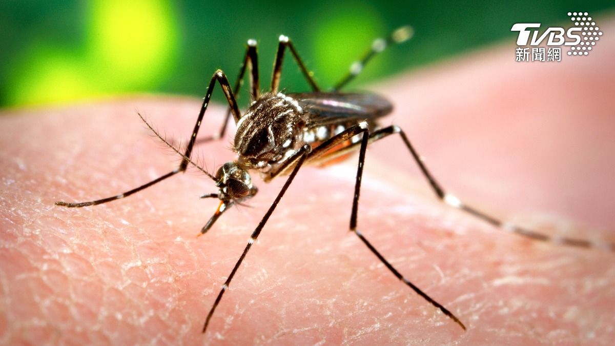 蚊子最愛叮哪種人?研究曝「愛喝酒該注意」 防蚊液恐變誘因