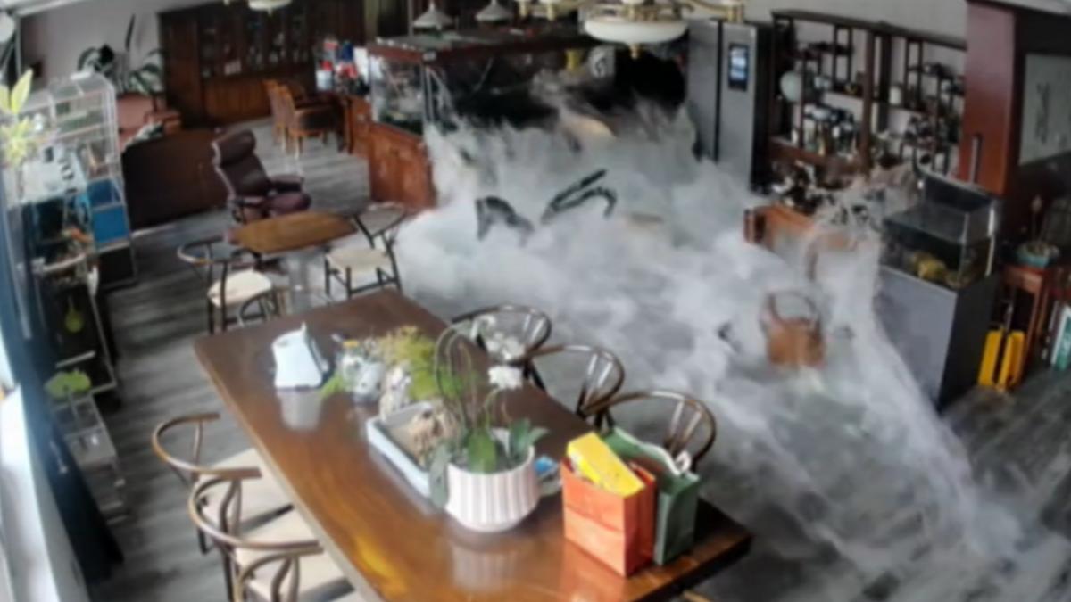 價值百萬魚缸突爆裂!觀賞魚慘死 飼主竟煮來吃
