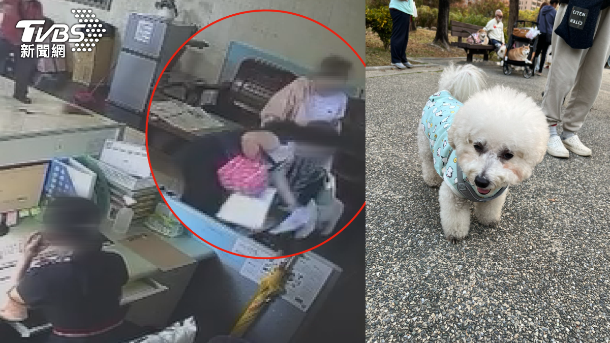 嫌牽繩太短! 女搭電梯怕被比熊犬咬 竟拿傘作勢攻擊