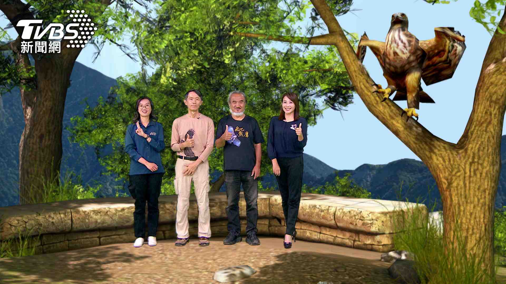熊鷹正在消失! 全台僅剩500對 TVBS《守護者的雲端對話》揭盜獵真相