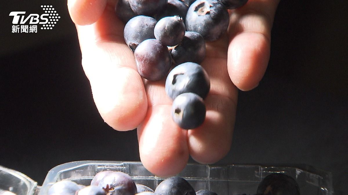 藍莓花青素抑制壞膽固醇氧化!營養師點名「這水果」護心血管