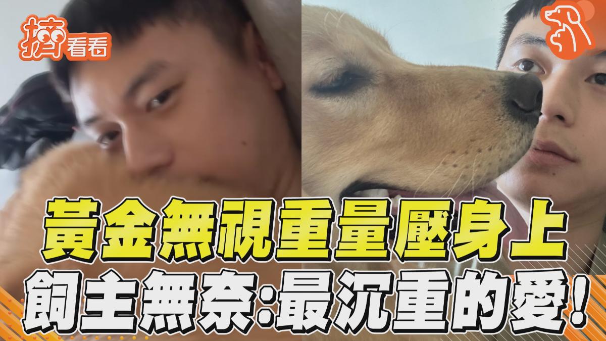 影音/黃金「無視重量」壓身上 飼主無奈:最沉重的愛!