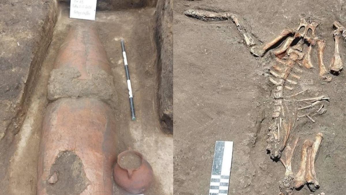 塵封近2000年!埃及驚現「神祕古墓」 24件黃金陪葬品出土