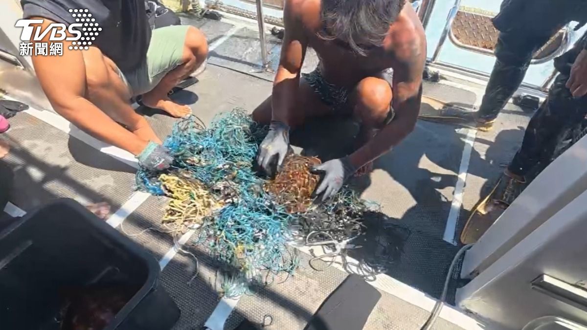 海洋垃圾成隱形殺手!2小海龜遭幽靈漁網死纏 澎湖潛水團急救援