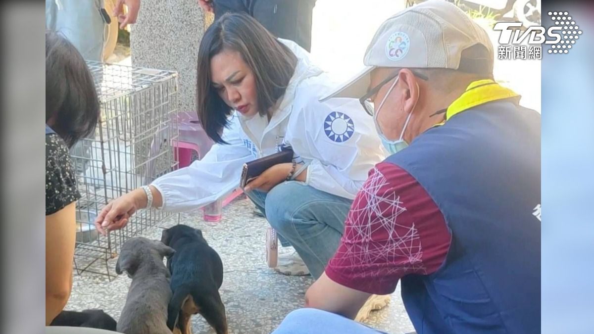 地獄移工宿舍!5幼犬後腿全斷慘拖行 冰箱驚見「可疑肉品」