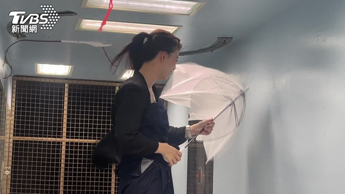 台北為何颱風天特別有感?淡水河口灌風+高樓風廊效應放大