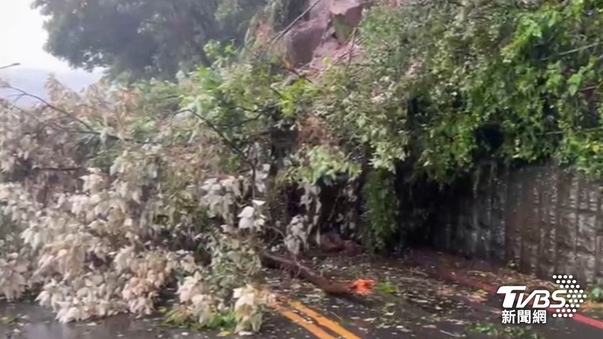 「護市神山」?! 陽明山吹12級強陣風 北投多巨石崩落