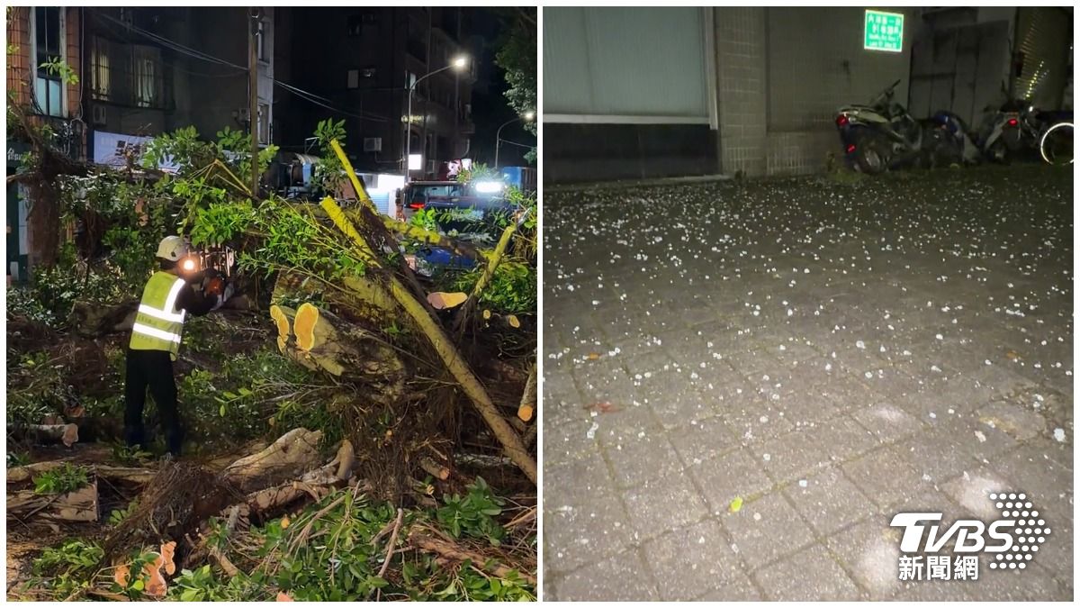 巴威襲北市!中山區路樹倒塌壓車砸屋、內湖區玻璃碎裂散落地面