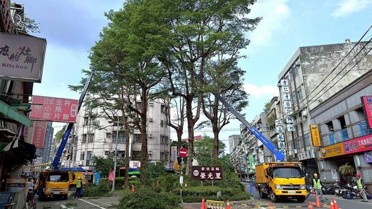 北市遭爆濫砍樹!網傳「為無人機開道」 公園處怒蒐證曝真相