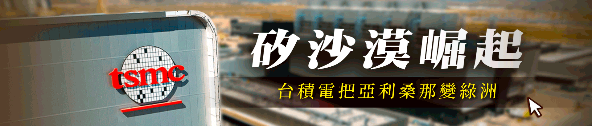 矽沙漠崛起