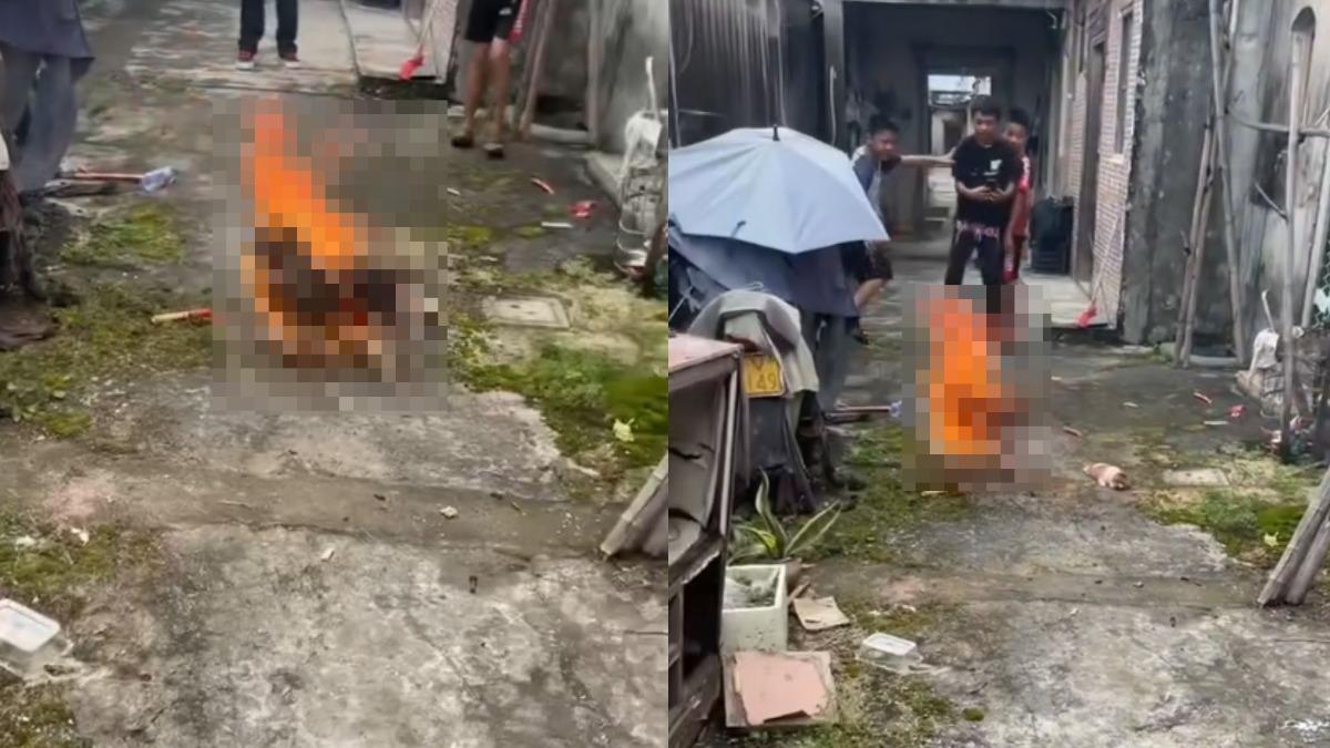 中國4小學生虐殺浪浪!活焚狗媽笑喊「好香」 幼犬遭棍毆爆頭