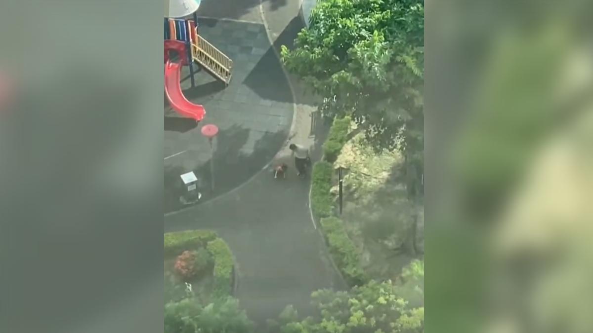 疑玩耍發生衝突 父「用力一扯」男童摔趴在地痛哭 目擊者:至少摔3次