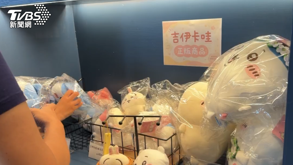 吉伊卡哇太夯!熱氣球展周邊有「盜版貨」 惹怒正版粉絲