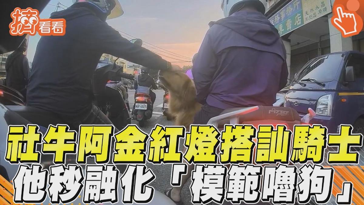影音/社牛阿金紅燈「跟鄰居討摸」 騎士把握黃金60秒專業開嚕