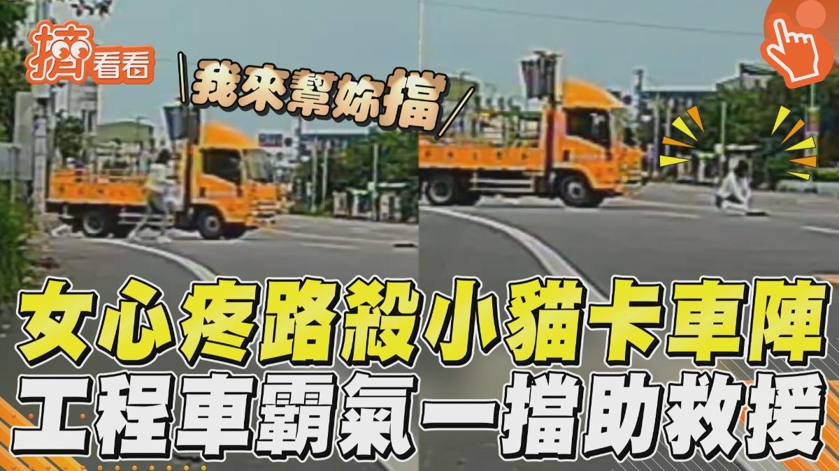 影音/善心女心疼路殺小貓卡車陣 工程車大哥「霸氣一擋」助救援