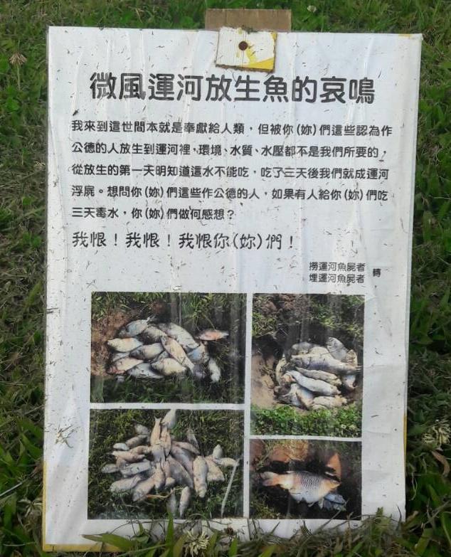 微風運河驚傳放生害死,民眾設立告示牌訴說「放生魚的哀鳴」。(民眾提供)