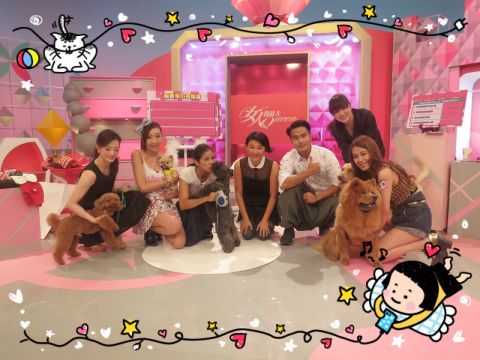 唐立淇老師超神準測驗【2014/09/19 敲可愛!明星們的毛小孩萌主選拔賽】