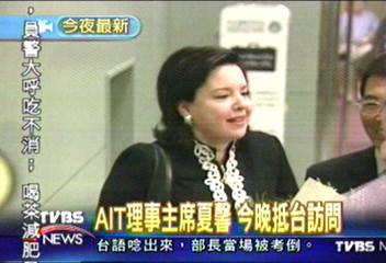 AIT理事主席夏馨 今晚抵台訪問│TVBS新聞網