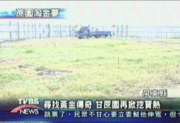 尋找黃金傳奇 甘蔗園再掀挖寶熱