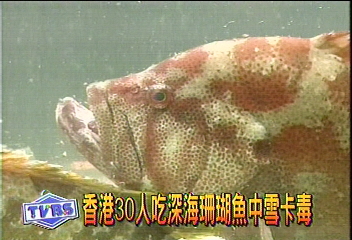 30人吃深海珊瑚魚中雪卡毒 中毒 Tvbs新聞網