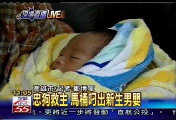 Re: [新聞] 出生僅6周男嬰睡覺遭「養8年哈士奇」