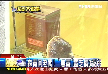 森青同老闆 無毒 靈芝價3級跳 傳銷 Tvbs新聞網
