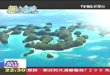 【「潛」進帛琉】上萬水母壯觀奇景 靠水母救地球