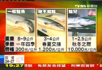 獨家 吃一口140 野生白鮭上菜挑戰荷包 Tvbs新聞網