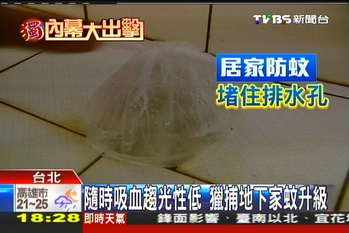 獨家 就是不自投羅網 地下家蚊 趨光性低 Tvbs新聞網