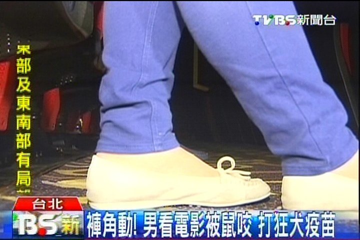 褲角動!男看電影被鼠咬 打狂犬疫苗