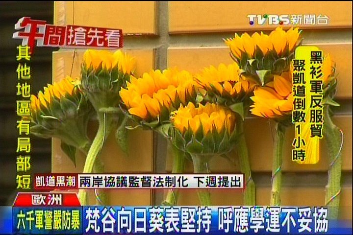 梵谷向日葵表堅持呼應學運不妥協 Tvbs新聞網