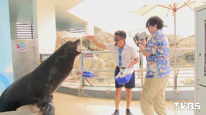 這一行不好賺 滿身腥味 馴獸師與動物為伍先建立互信 訓練 飼養員 Tvbs新聞網