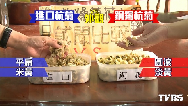 有花開在樹上的感覺才是台灣杭菊 大陸 進口 差別 Tvbs新聞網