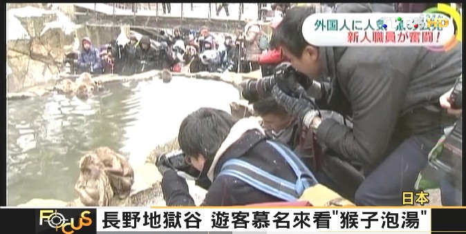 FOCUS/長野地獄谷 遊客慕名來看「猴子泡湯」