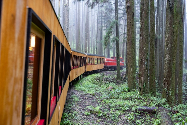 最美阿里山小火車7/28首航！全檜木打造，一邊搭火車還能享受芬多精洗禮