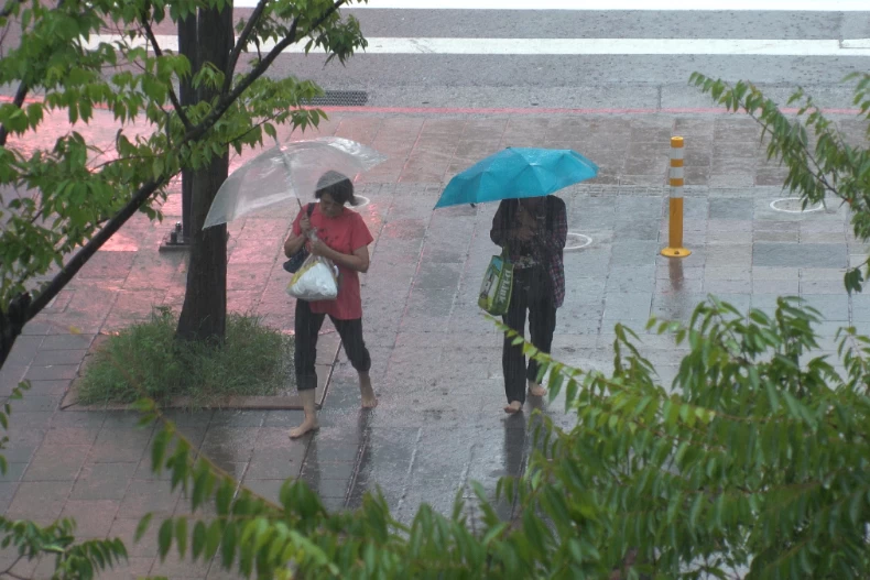 快訊／凱米颱風持續影響！台灣高鐵宣布7/25下午三點前全線暫停營運