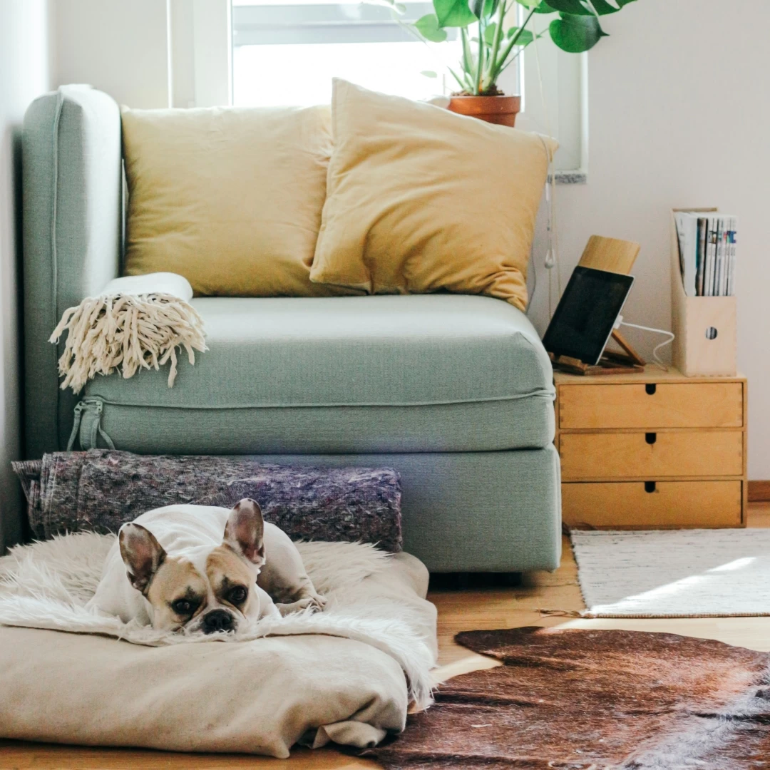 如何挑選適合的小型家電?符合現代需求的生活小家電推薦,讓生活更便利