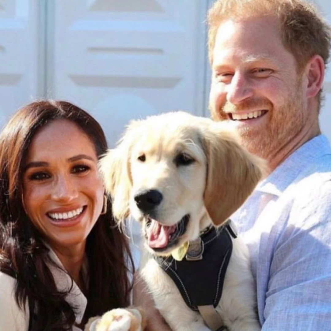 哈里與梅根傳離婚?二人疑分居3個月,這次是真的還是公關操作?